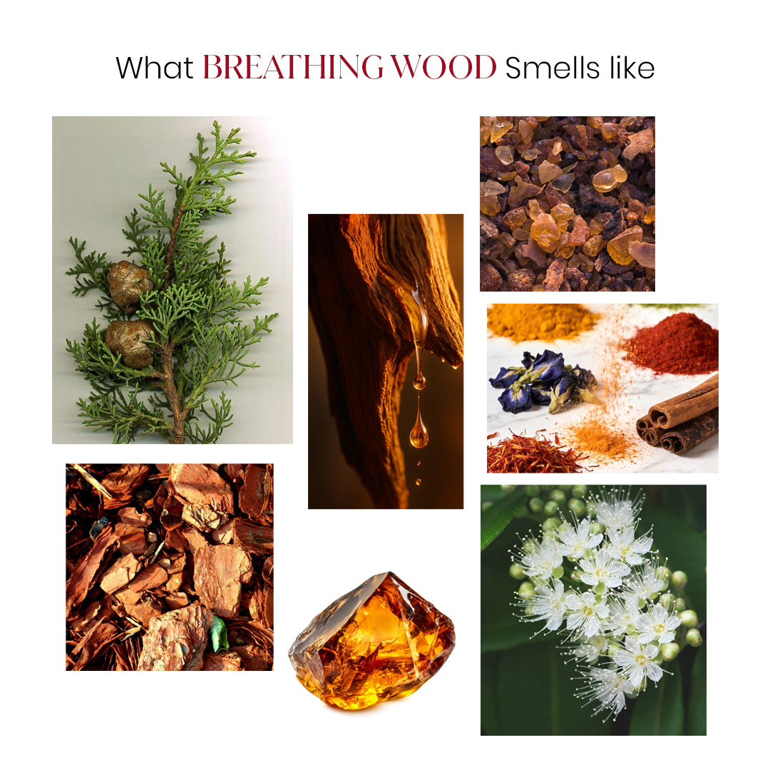 Solid Perfume for Men – Bold, Long-Lasting Pocket Fragrance | BREATHING WOODS 🌿
